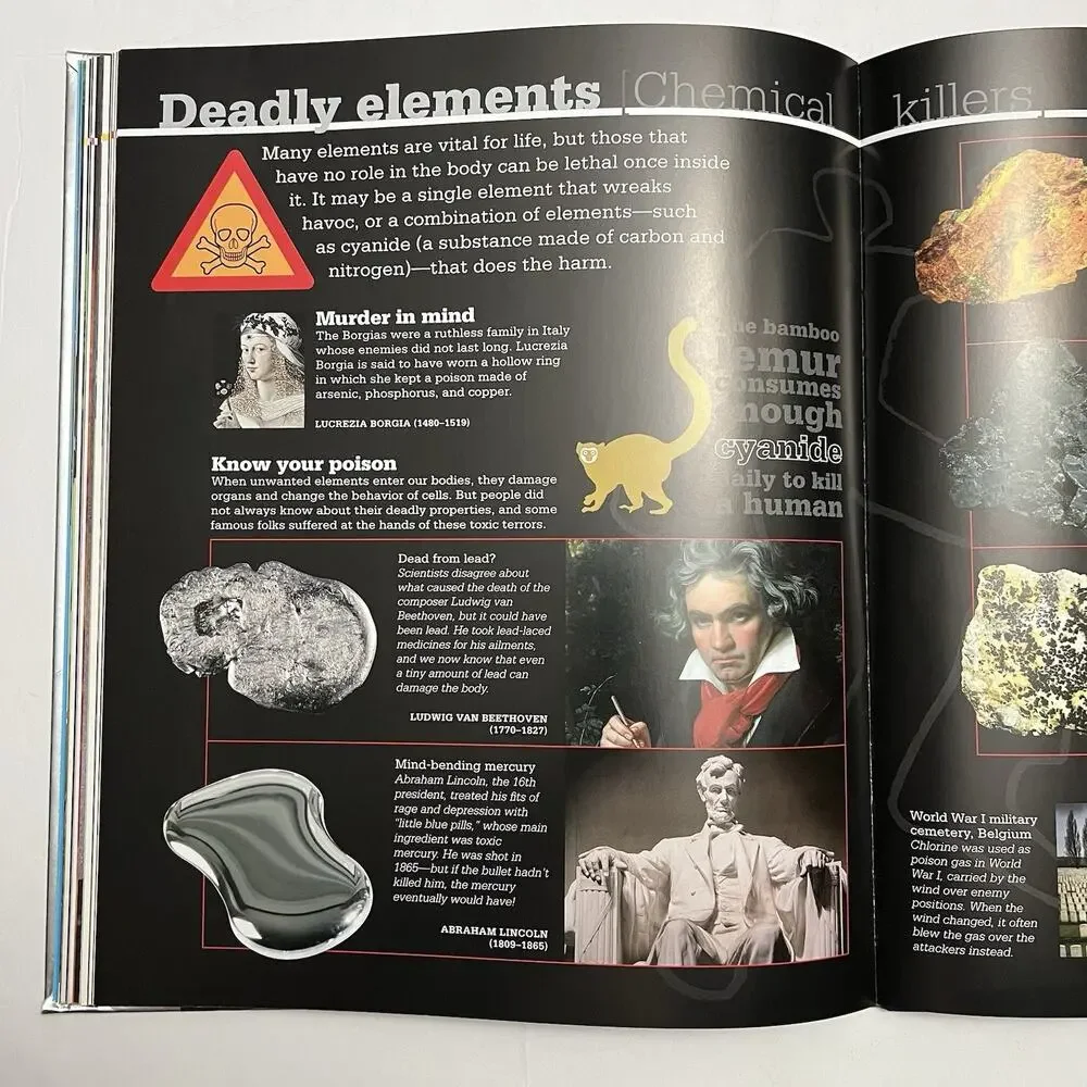 Scholastic Discover More The Elements by Dan Green Paperback Science Book